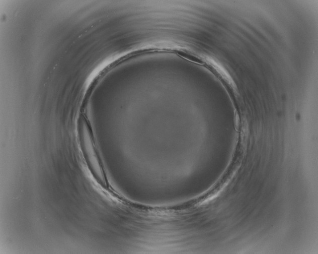 X0000085300944200703231855