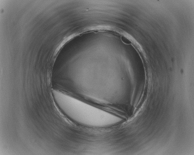 X0000085300945200703231855