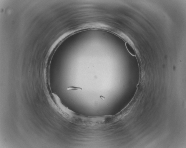 X0000085300947200703231855