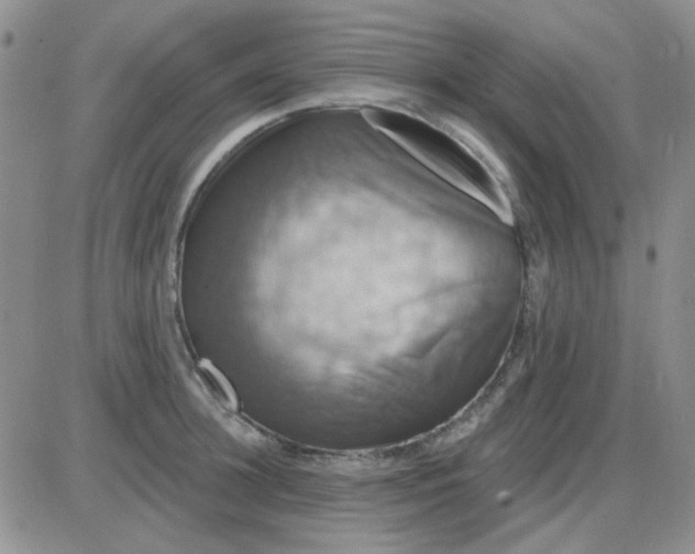 X0000085300948200703231855