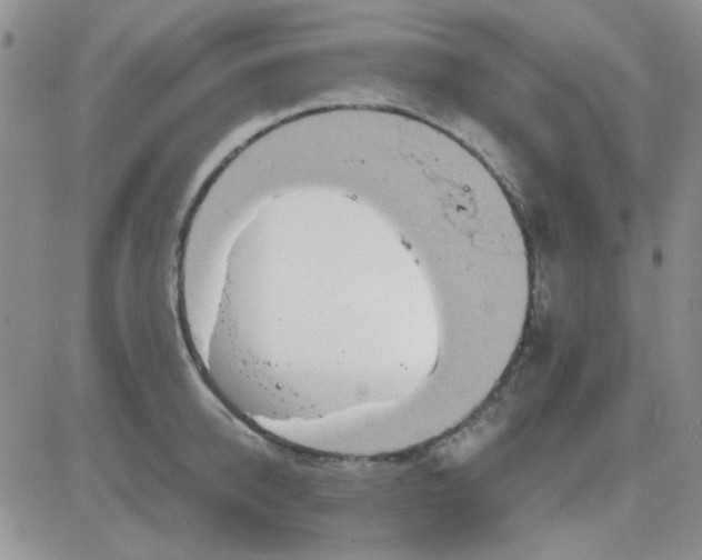 X0000085300950200703231855