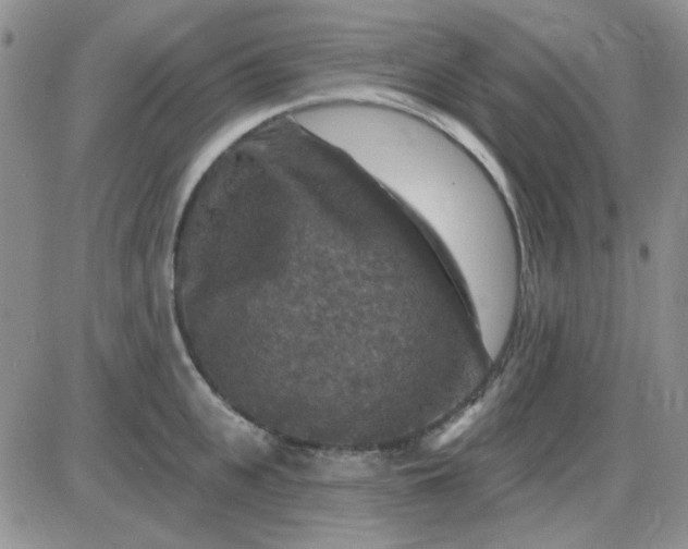 X0000085300951200703231855