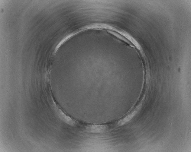 X0000085300953200703231855