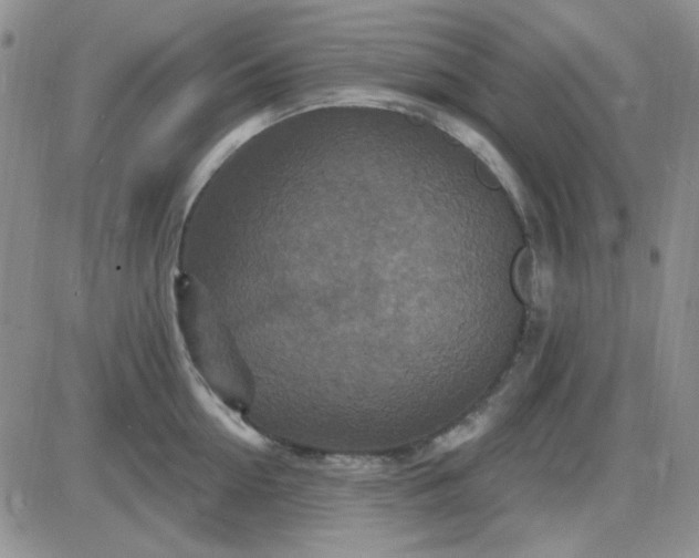 X0000085300954200703231855