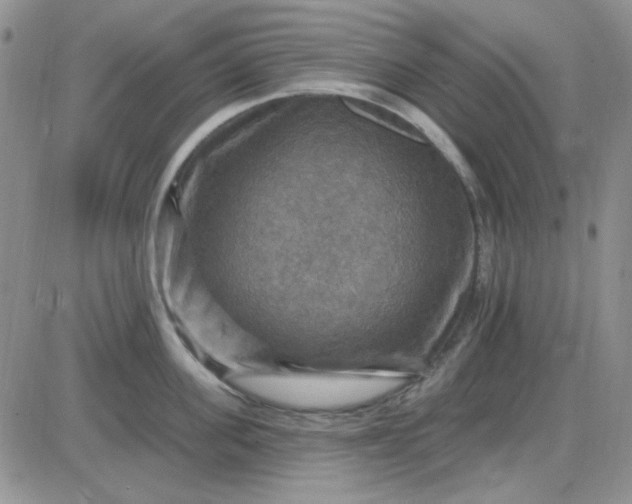 X0000085300955200703231855