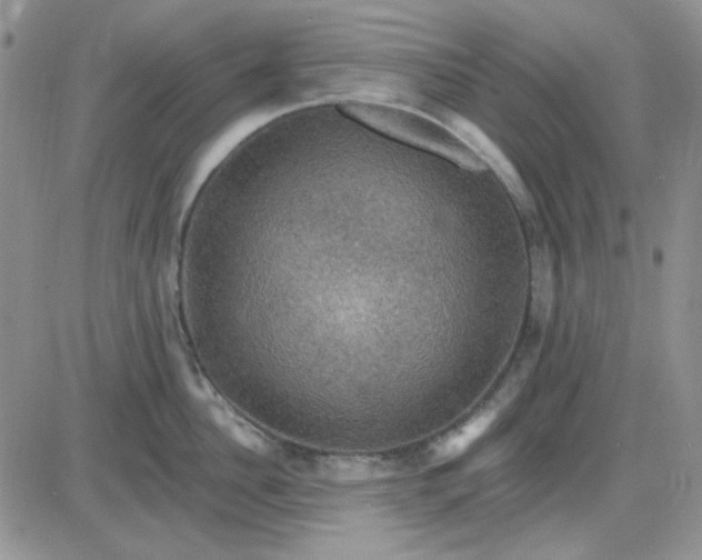 X0000085300956200703231855