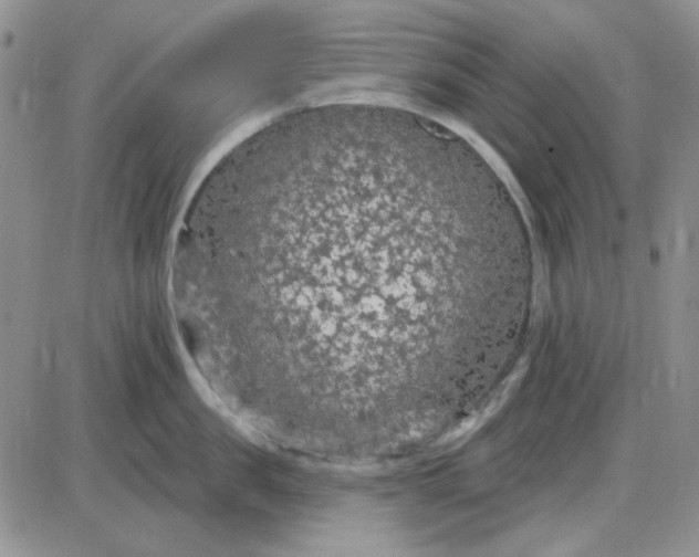 X0000085300957200703231855