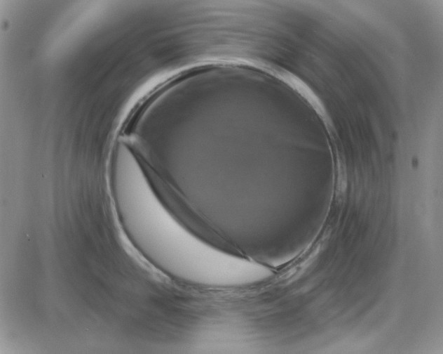 X0000085300958200703231855