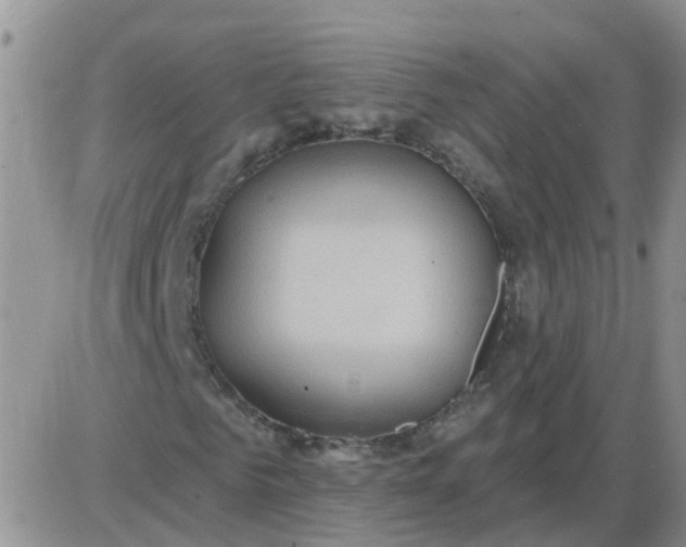 X0000085300961200703231854