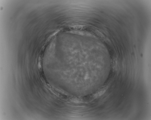 X0000085300962200703231854