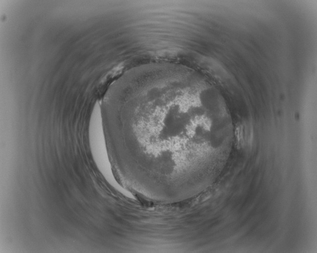 X0000085300963200703231854