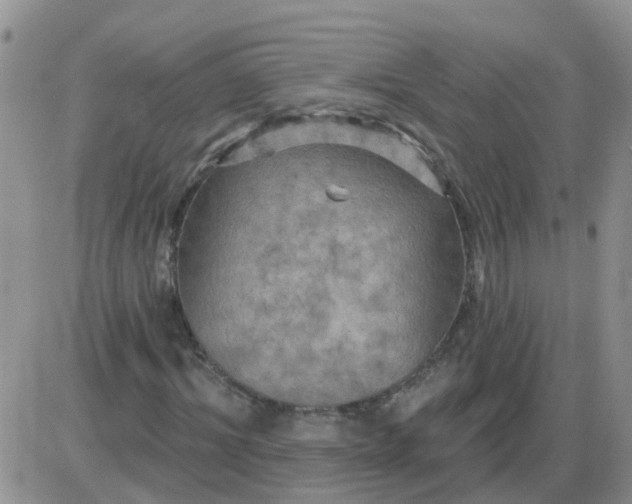 X0000085300964200703231854