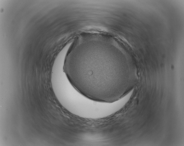 X0000085300965200703231854