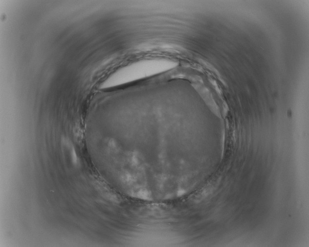 X0000085300966200703231854