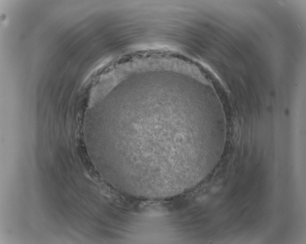 X0000085300967200703231854