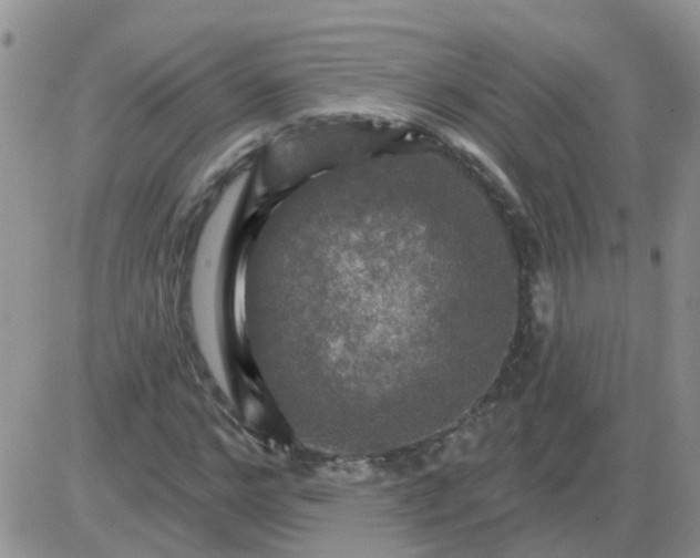 X0000085300968200703231854