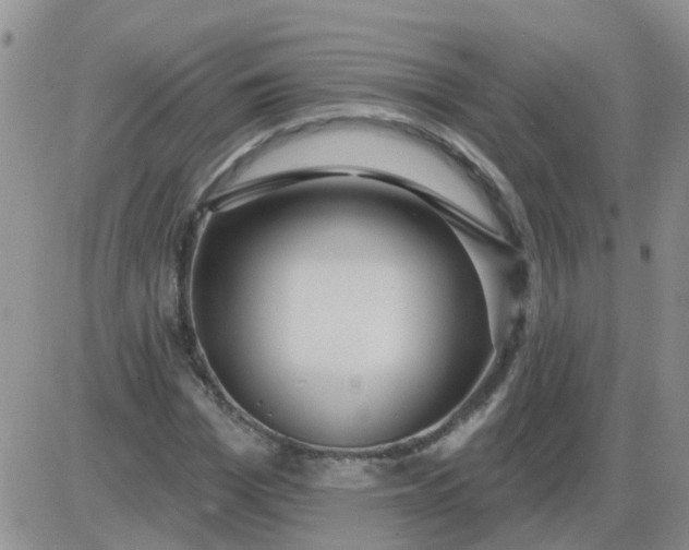 X0000085300969200703231854