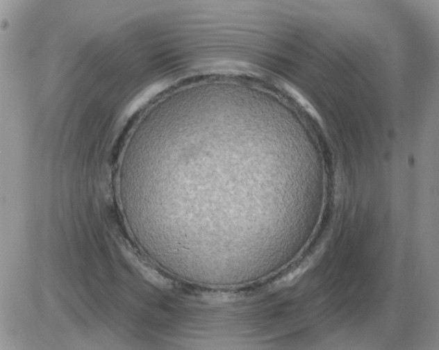 X0000085300970200703231854