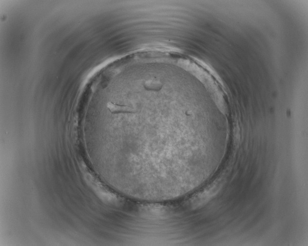 X0000085300971200703231854