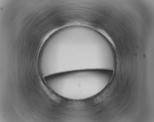 X0000085300972200703231854