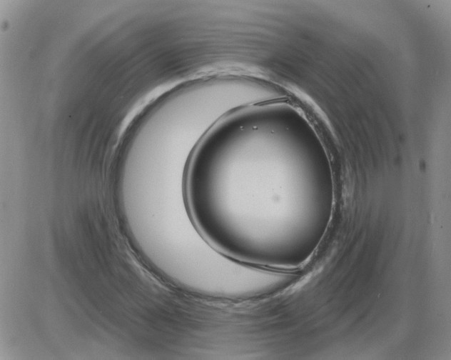 X0000085300973200703231854