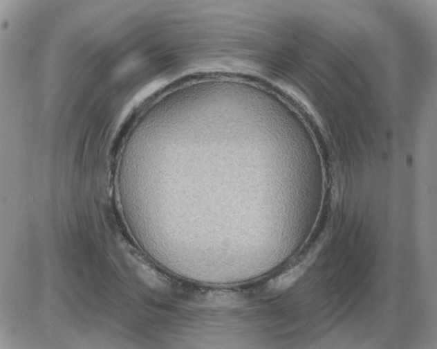 X0000085300974200703231854