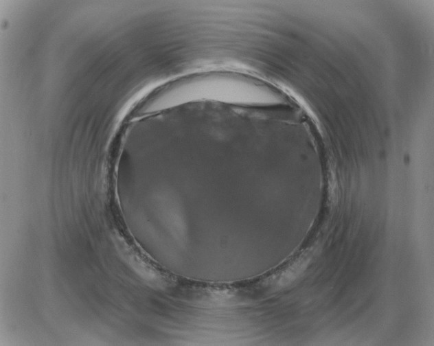 X0000085300975200703231854