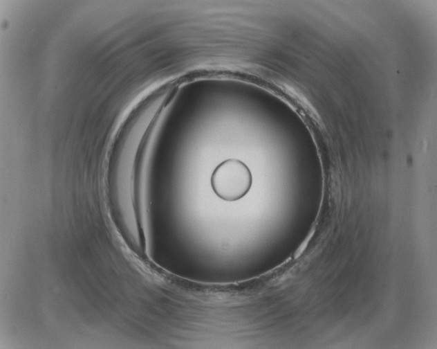 X0000085300976200703231854