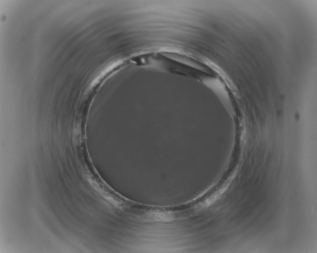 X0000085300977200703231854