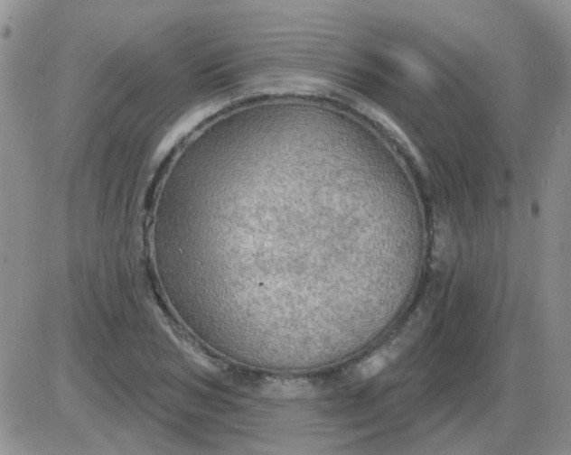 X0000085300978200703231854