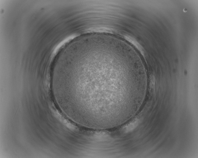 X0000085300979200703231854