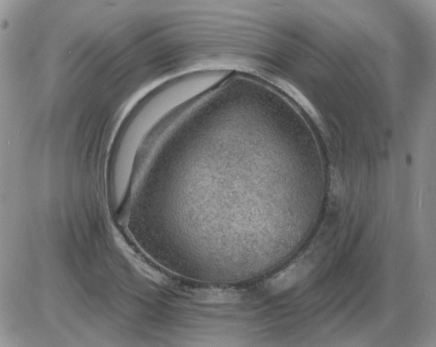 X0000085300980200703231854