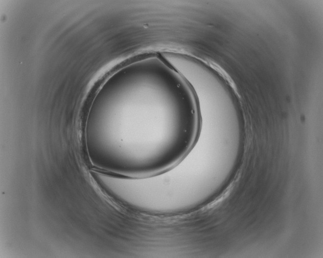 X0000085300981200703231854