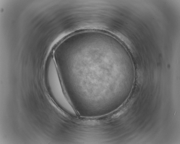 X0000085300982200703231854