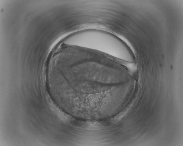 X0000085300983200703231854