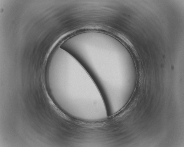 X0000085300984200703231854