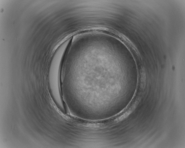 X0000085300985200703231854