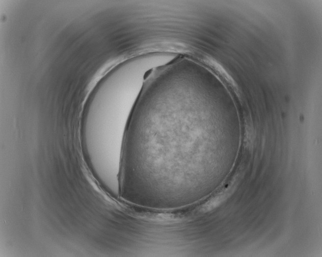 X0000085300986200703231854