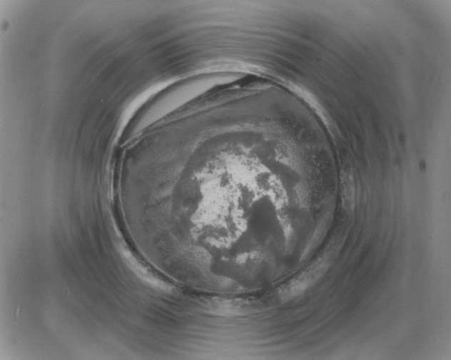 X0000085300987200703231854