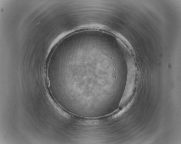 X0000085300989200703231854