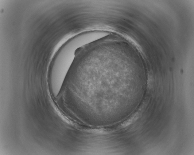 X0000085300990200703231854