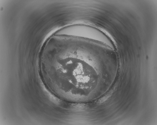 X0000085300991200703231854