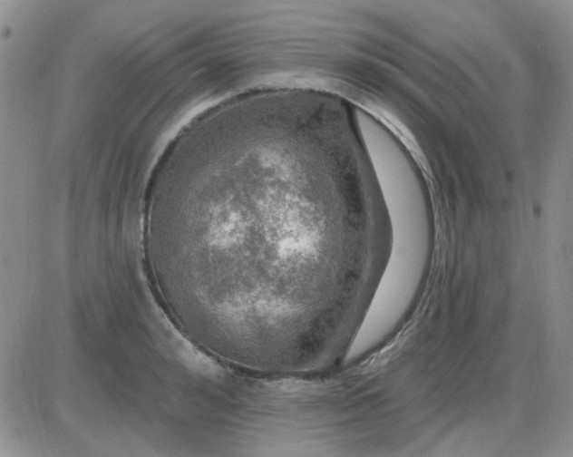 X0000085300992200703231854