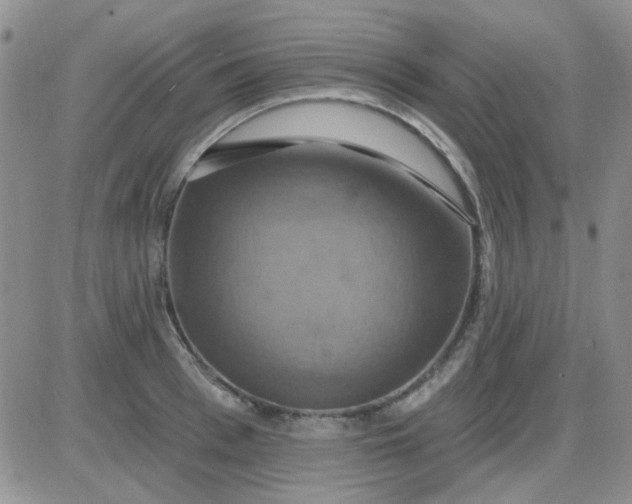 X0000085300993200703231854