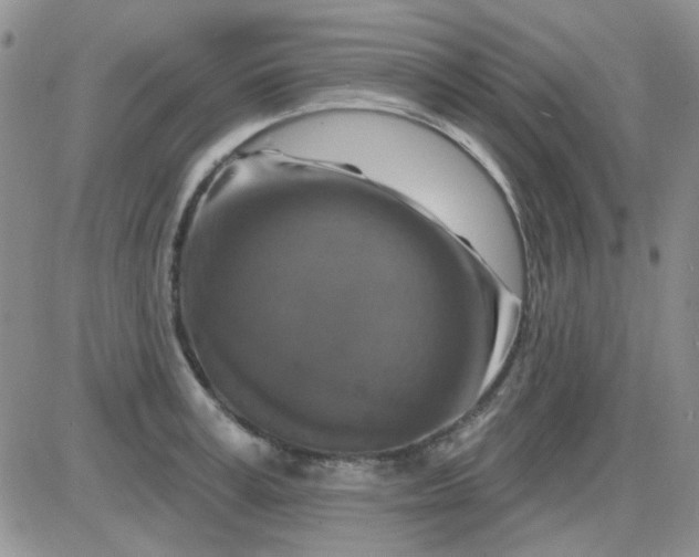 X0000085300995200703231853