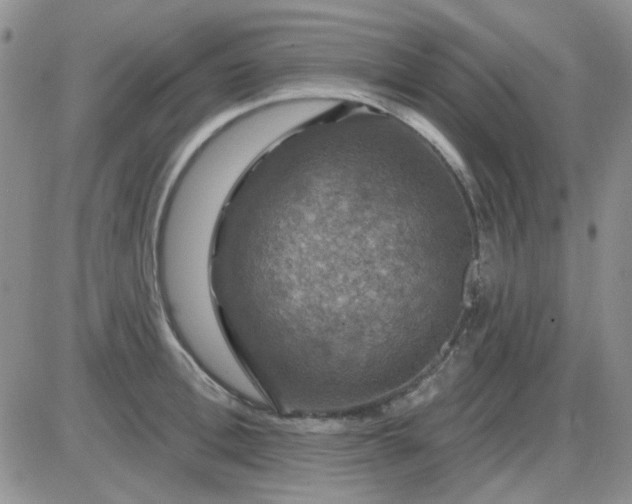 X0000085300996200703231853