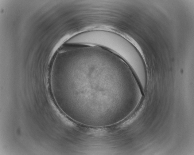 X0000085300997200703231853