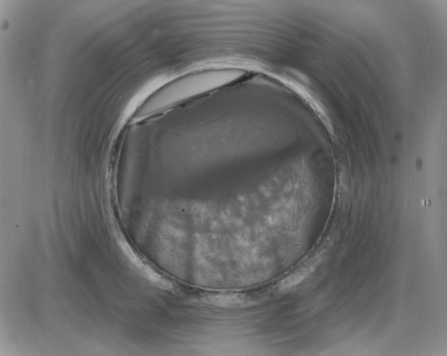 X0000085300998200703231853