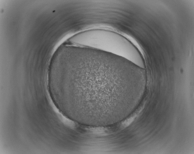 X0000085300999200703231853