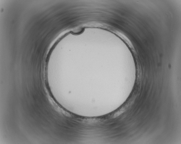 X0000085301000200703231853